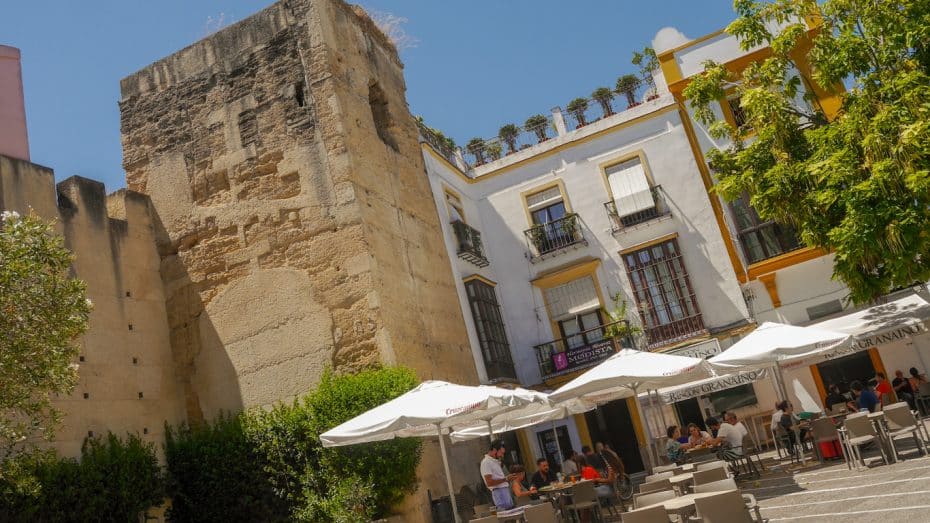 Jerez de la Frontera is famous for its wine and beauty