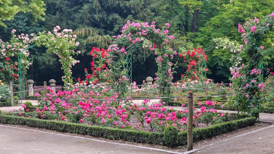 Rose Garden at Campo Grande Park