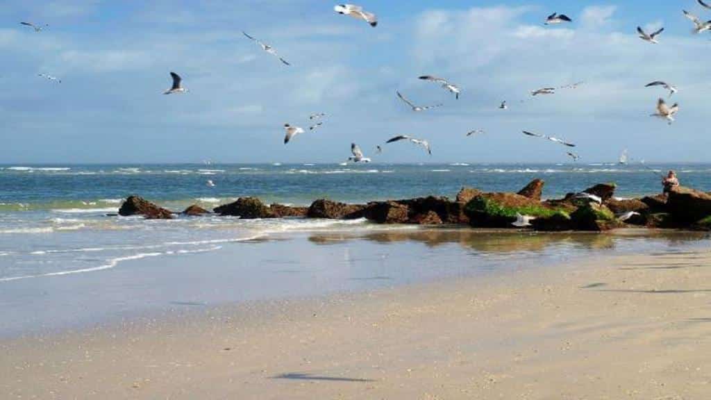 Vilano Beach è un paradiso per gli amanti della spiaggia