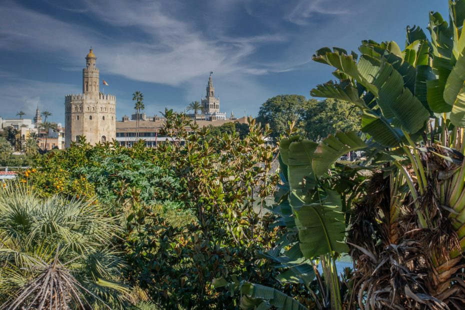 The Torre del Oro and La Giralda define Seville's skyline