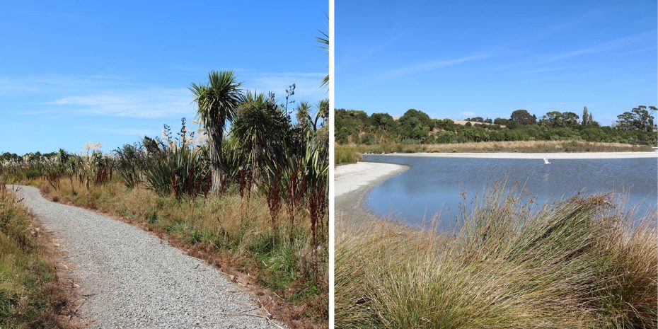 Otipua Wetland