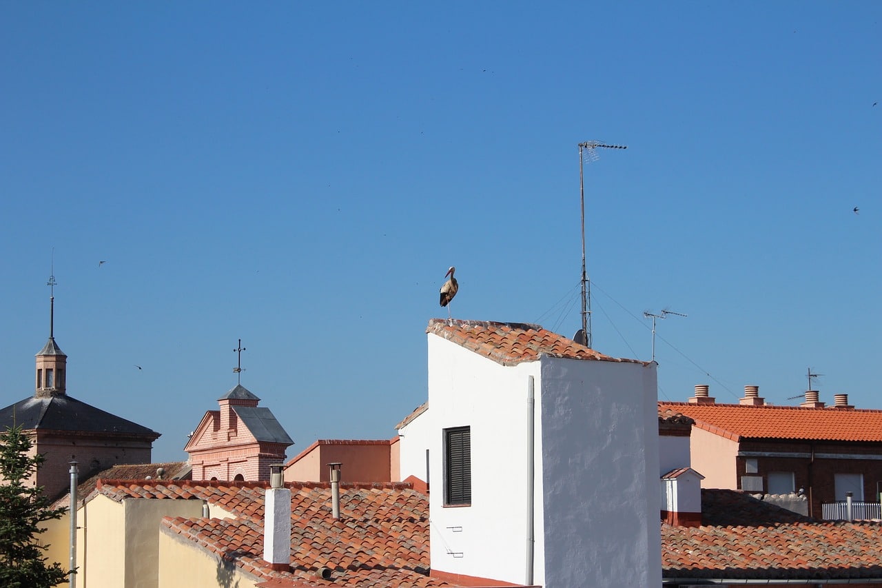 Alcalá de Henares is the first must-see stop between Madrid and Barcelona