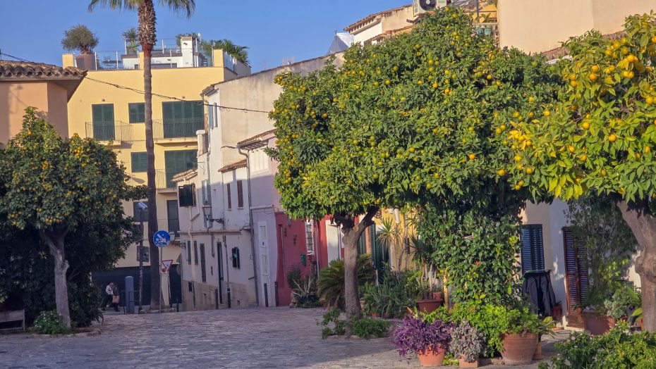 El Jonquet - Barrios para visitar en Palma