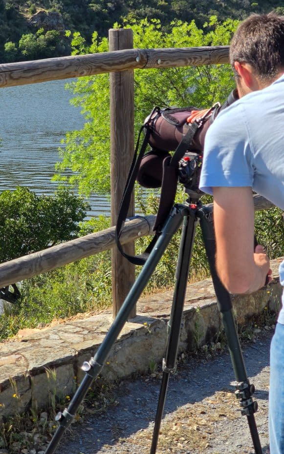 Monfragüe es uno de los mejores destinos para observar aves en España