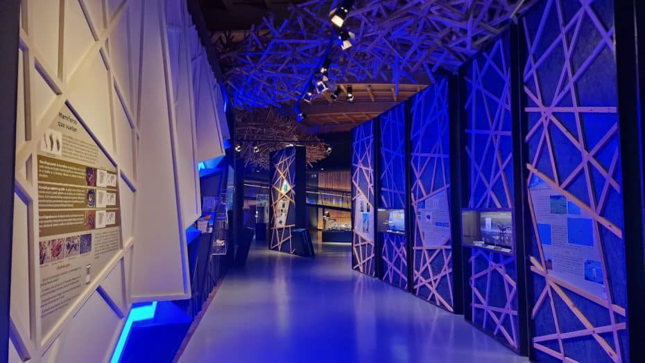 El interior del Centro de Visitantes Norte se inspiró en diferentes nidos de pájaros
