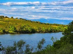 Tips for visiting Monfragüe National Park, Spain
