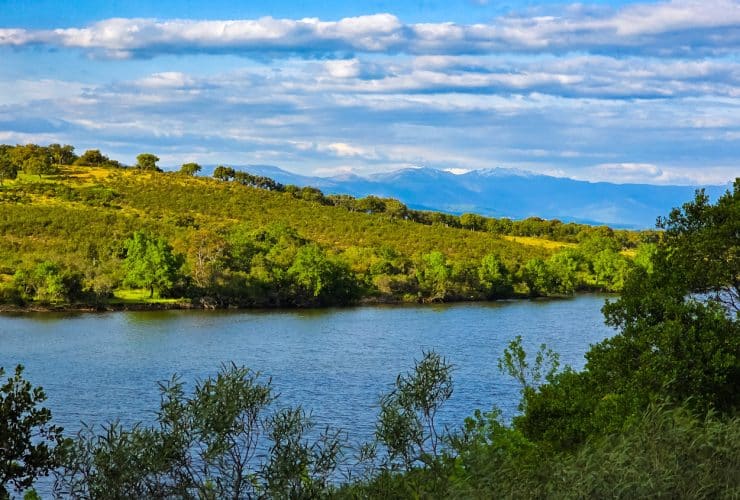 Tips for visiting Monfragüe National Park, Spain