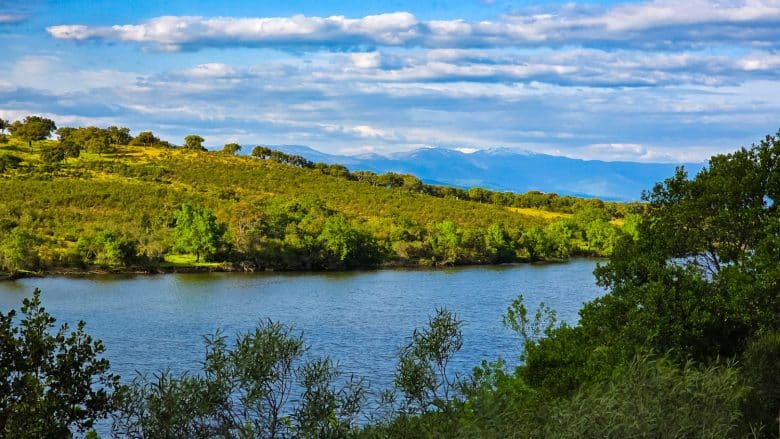 Tips for visiting Monfragüe National Park, Spain