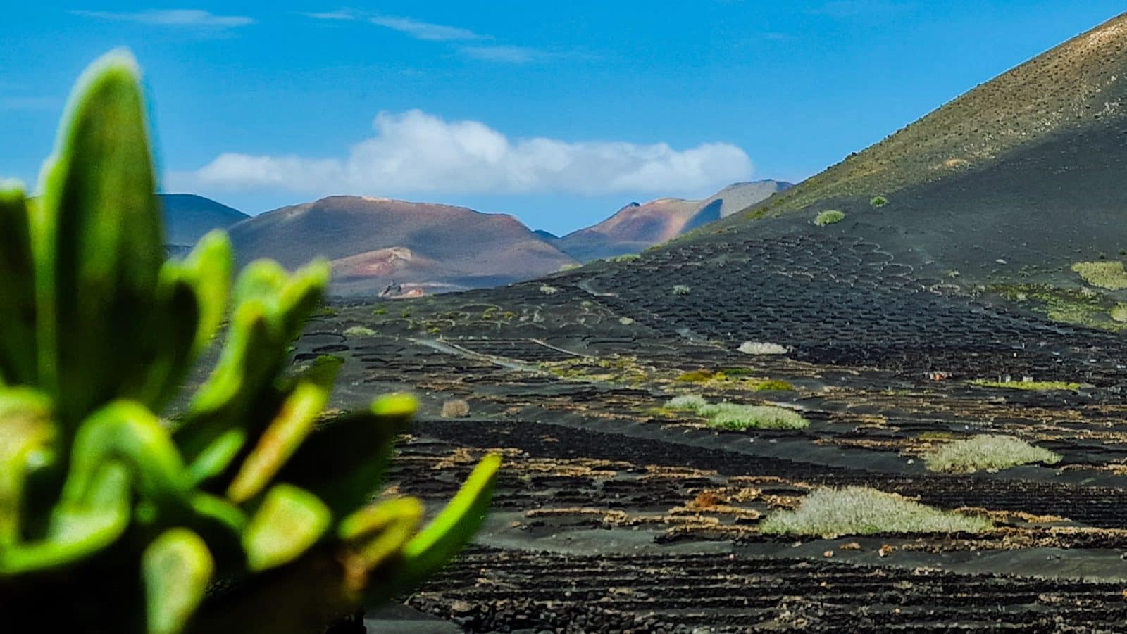 Lanzarote and César Manrique