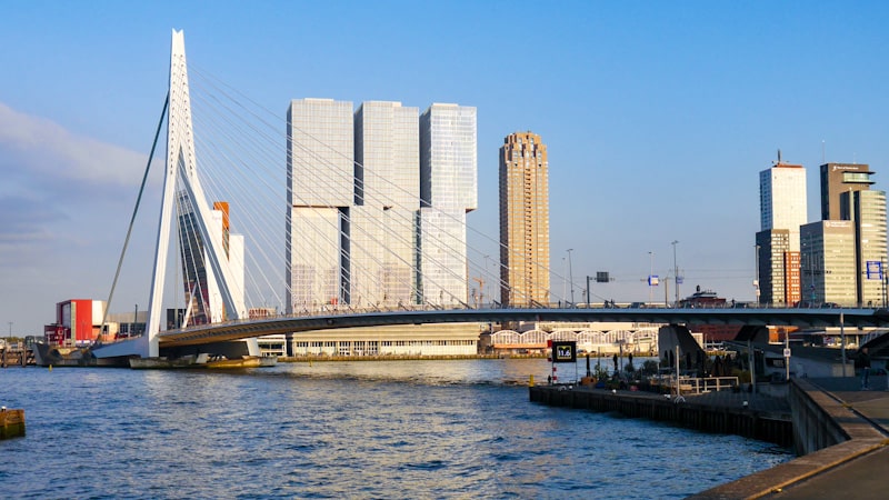 Puente de Erasmo de Róterdam