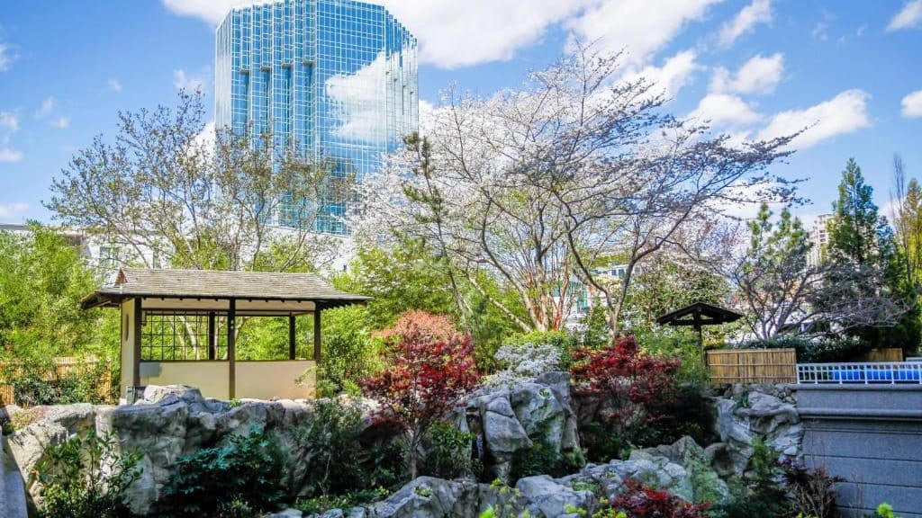 Situado al norte del centro, Buckhead es un distrito exclusivo y seguro; una de las mejores zonas donde alojarse en Atlanta para alta gastronomía, compras de lujo y hoteles top