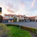Daffodil Motel