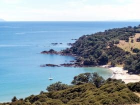 Discover the best towns and beach areas to stay on Waiheke Island, NZa