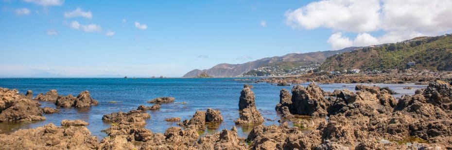 Island Bay es un barrio tranquilo y familiar junto a la playa