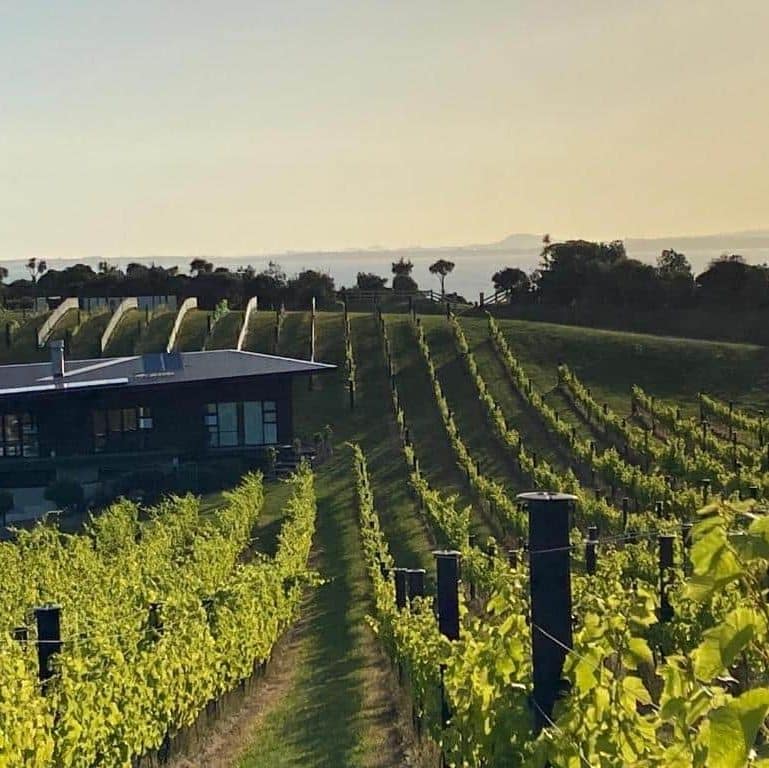 La Bodega Waiheke Island