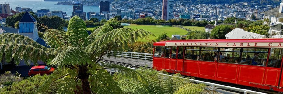 Kelburn ofrece un lugar tranquilo y acceso directo al Jardín Botánico, lo que lo convierte en un barrio recomendable donde alojarse en Wellington para familias
