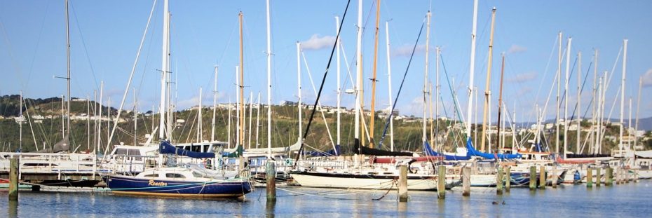 Petone es una encantadora localidad costera cercana a Wellington.