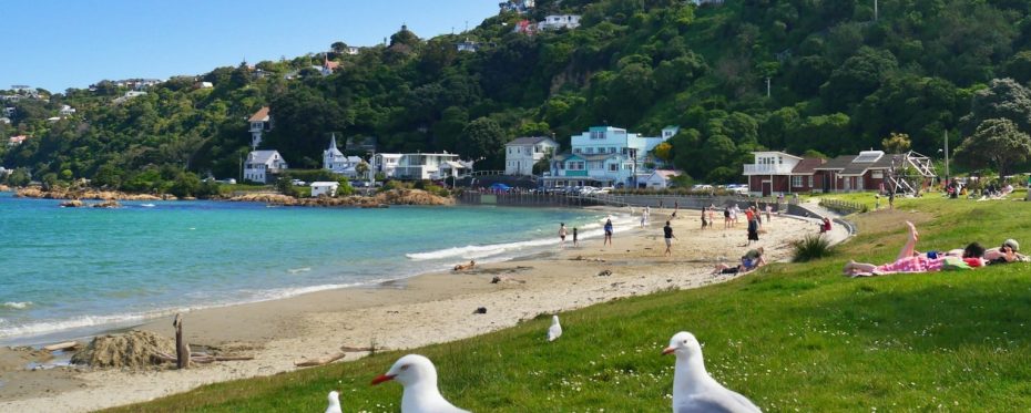 Scorching Bay es una de las playas más populares de Wellington