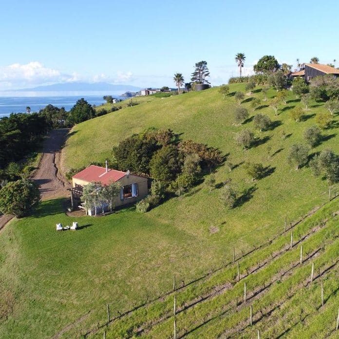 The Vineyard Cottage