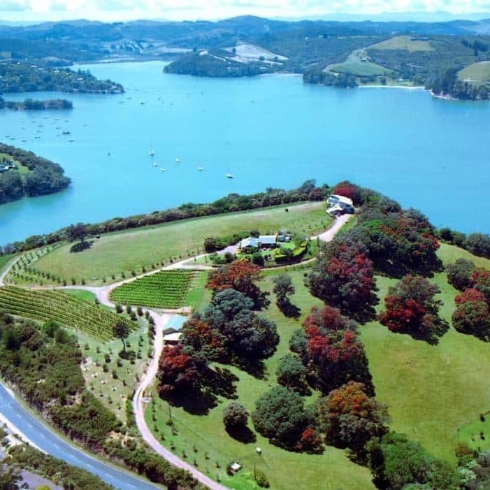 Waiheke Island Vineyard Holiday Houses