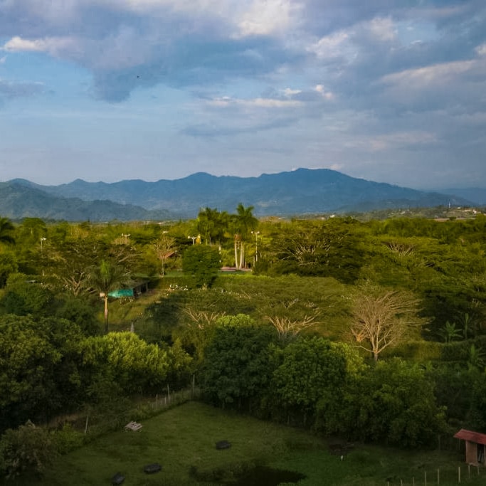 Cerritos ofrece un entorno rural tranquilo y muchos alojamientos de gama alta en Pereira