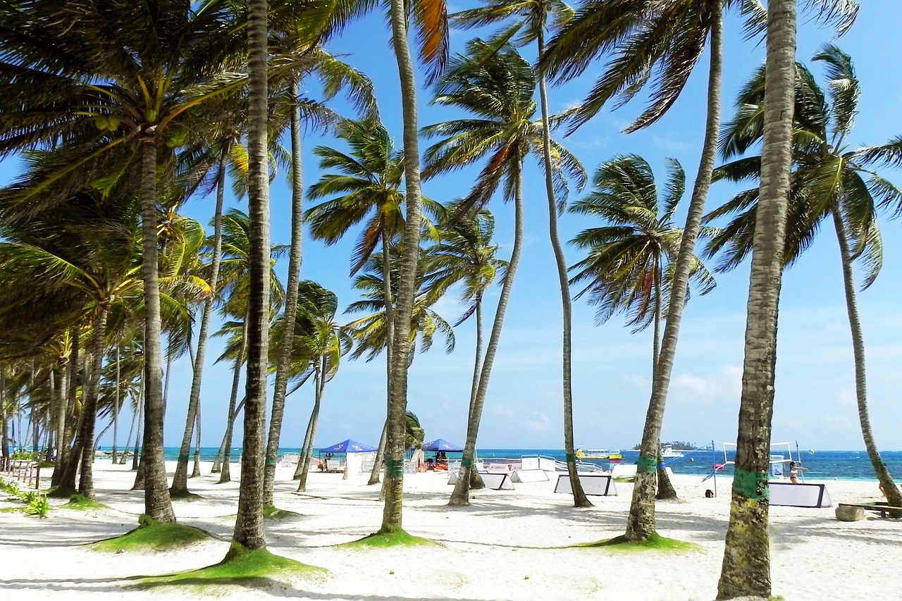 Con spiagge, negozi, ristoranti e locali notturni, la Baia di San Andrés è la zona migliore dove alloggiare sull’isola.