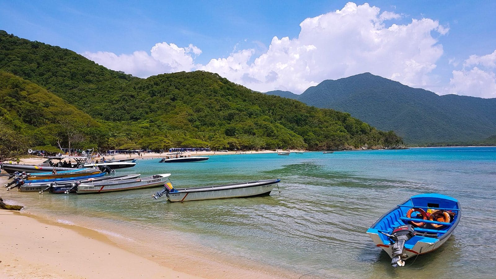 Scopri i quartieri più sicuri e le zone migliori dove alloggiare a Santa Marta, Colombia