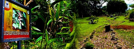 Giardino Botanico dell’UNET Táchira
