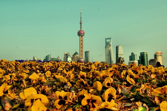 Shanghai - Flores y rascacielos