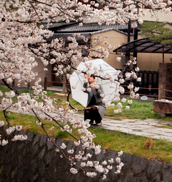 Hanami en Japón - señora haciendo fotos de un cerezo