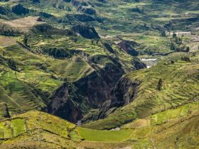 El cañón de Colca y sus cóndores