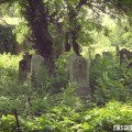 cementerio-judío-bucarest-tumbas