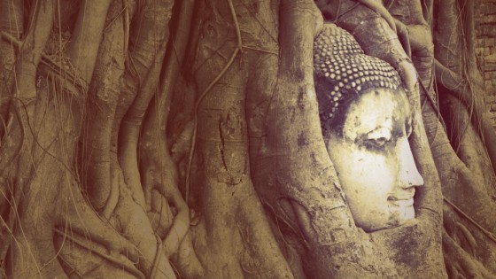 Cabeza de Buda de Ayutthaya