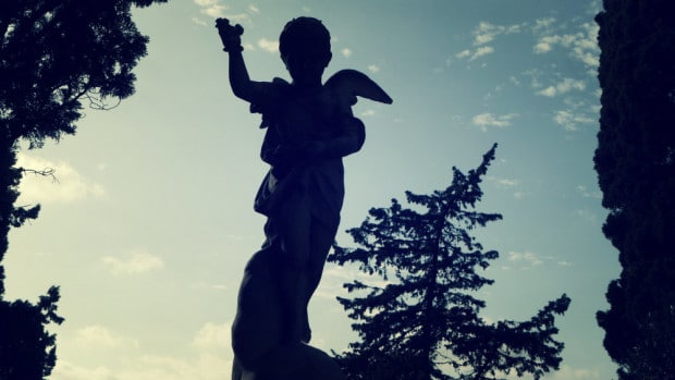 Angelito y árboles
