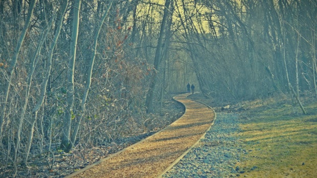 Walking on the tracks