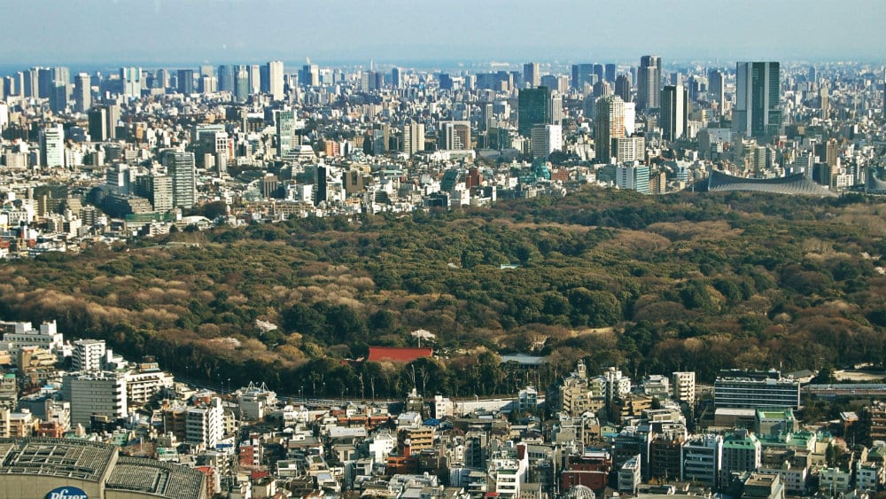 Vista del Parque Yoyogi desde el Metropolitan Building - Qué ver en Tokio