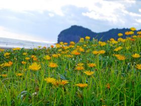 Consejos para viajar a Nueva Zelanda