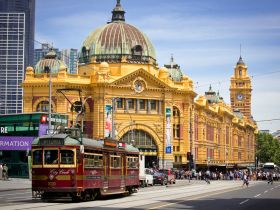 Qué ver en Melbourne Australia