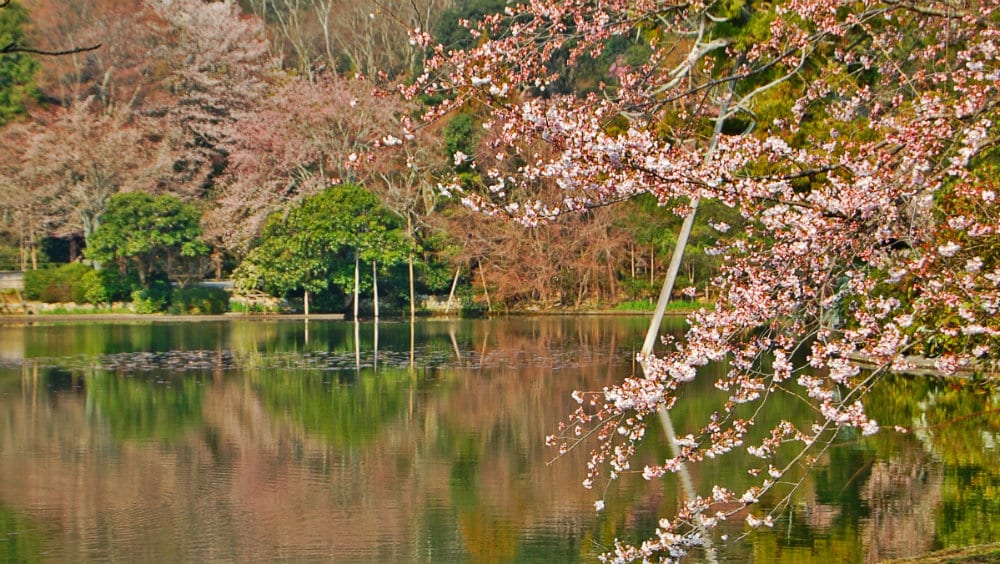 Jardines de Jisho Ji - Qué ver en Kioto