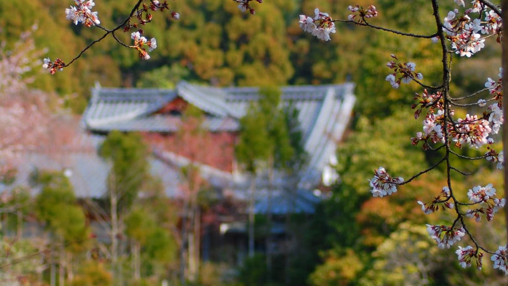 Qué ver en Kioto, Japón