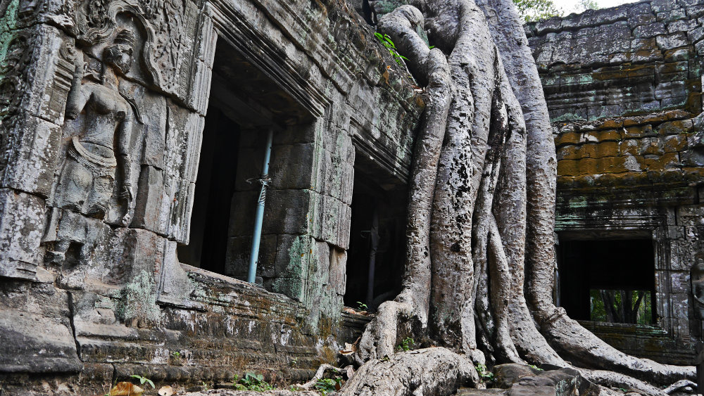 Ta Phrom - Templos de Angkor
