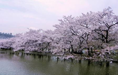 Ueno - Dónde dormir en Tokio, Japón - Mejores barrios y distritos