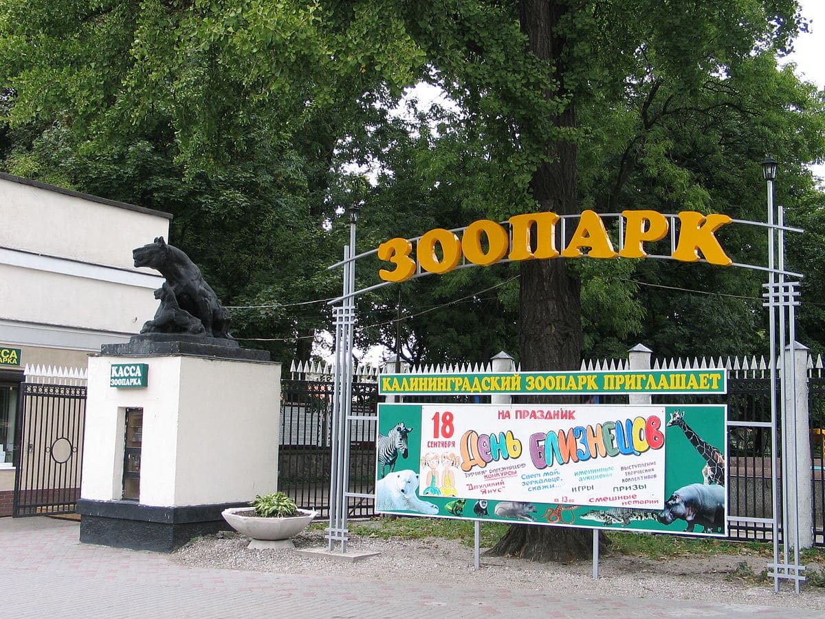 Dónde dormir en Kaliningrado - Zoo