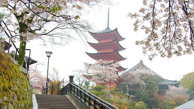 Dónde dormir en Hiroshima & Miyajima
