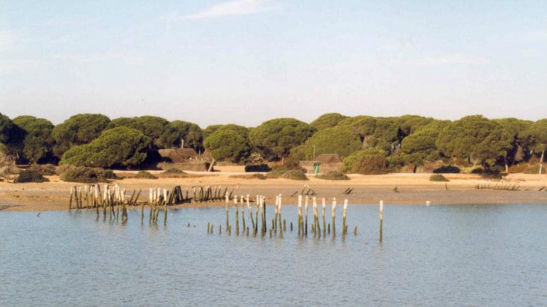 Doañana - Mejores parques naturales de España