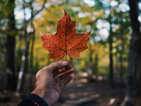 Los mejores parques naturales de Canadá