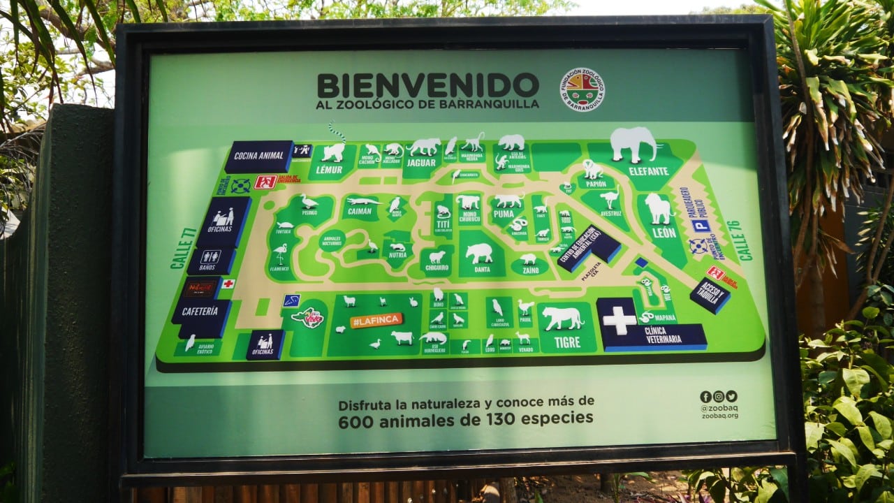 Qué ver en Barranquilla - Zoo