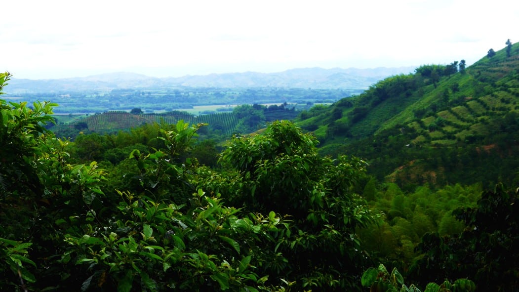 Típico paisaje del Eje Cafetero colombiano