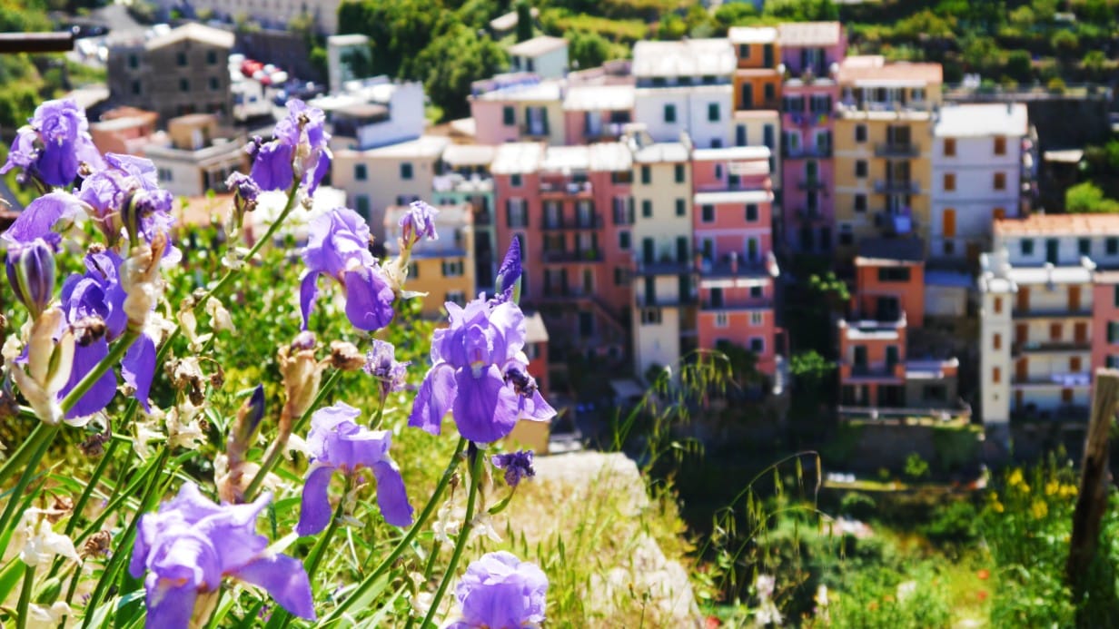 Best areas to stay in La Spezia to go to Cinque Terre