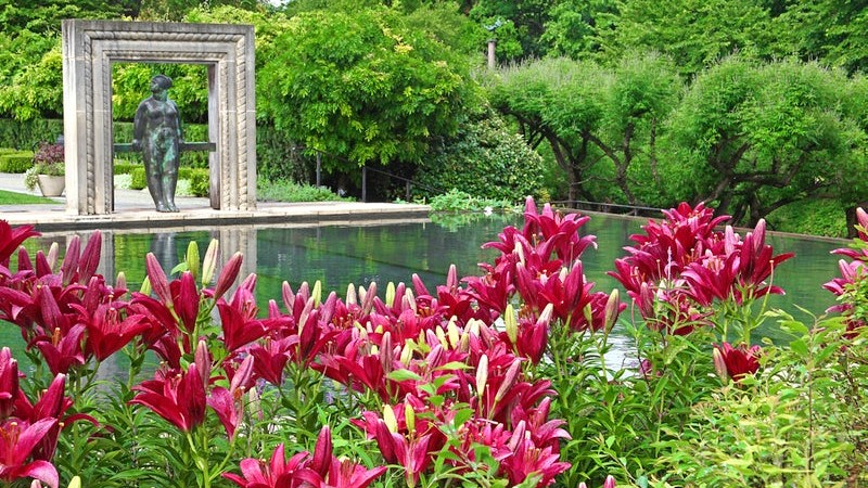 Qué hacer en Dallas, Texas - Dallas Arboretum and Botanical Garden